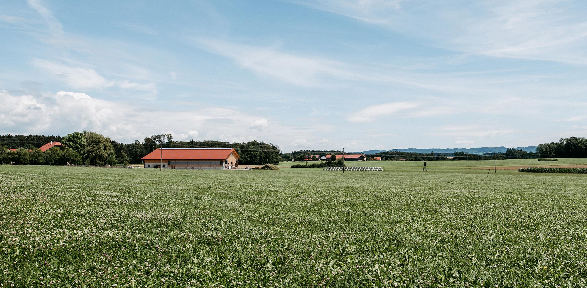 landwirtschaft-salzburg.jpg